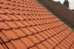 WhatsApp-Image-2020-10-29-at-20.56.55-1