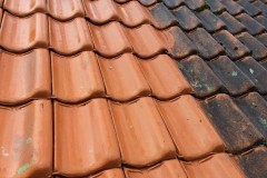 WhatsApp-Image-2020-10-29-at-20.56.55-2