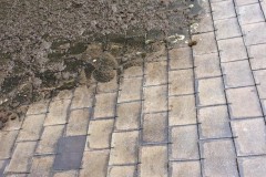 WhatsApp-Image-2020-10-29-at-20.56.55-3