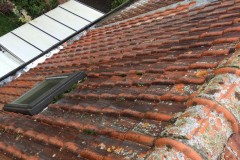 WhatsApp-Image-2020-10-29-at-20.56.55